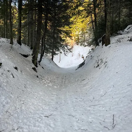 Au Coeur De La Nature Proche Grenoble Et Stations De *