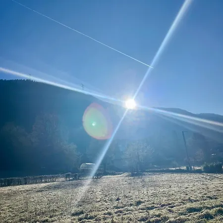 Lejlighed Au Coeur De La Nature Proche Grenoble Et Stations De *